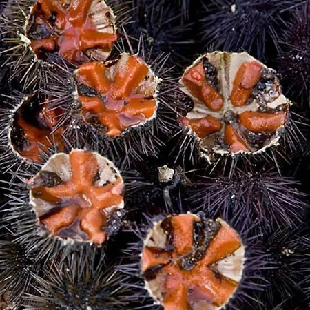 Residenze Benedetto Croce בית הארחה 3*