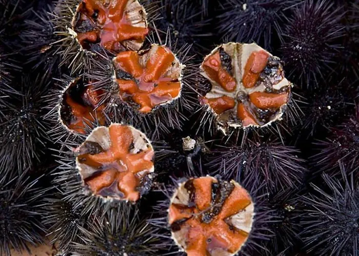 Residenze Benedetto Croce Pensjonat 3*